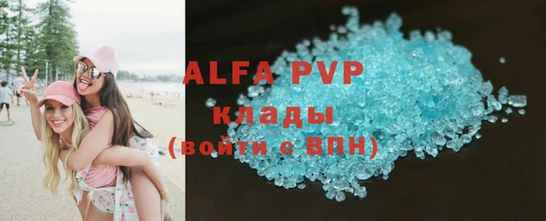 тгк Дмитров