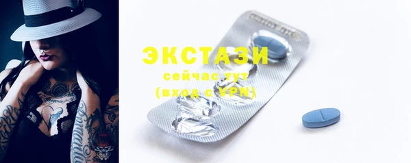 дживик Снежногорск