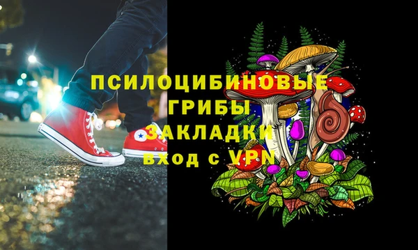 тгк Дмитров