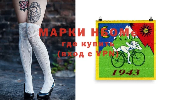 тгк Дмитров