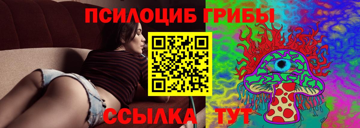 Псилоцибиновые грибы Psilocybine cubensis Снежинск